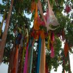 Vraj-Yatra-2014- (1735)